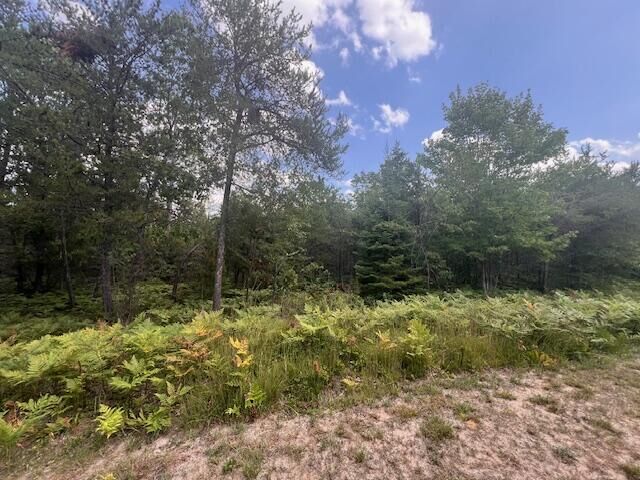 Property Photo:  12 Acres Michigan Oaks Lane  MI 49749 