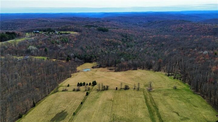Property Photo: 45 Kronus Road NY 14838