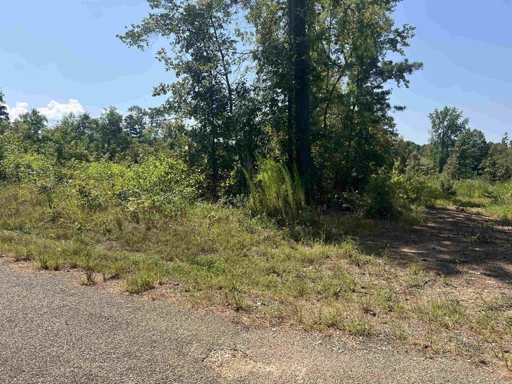 Property Photo: Tbd Ozark Loop AR 71929