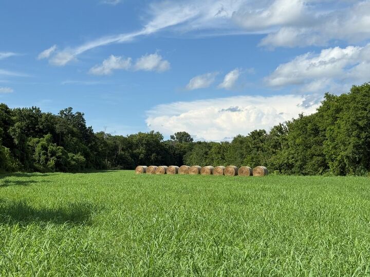 Property Photo:  00 Highway 63  AR 72542 