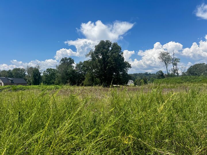 Property Photo: 0 Leeward Drive TN 37347