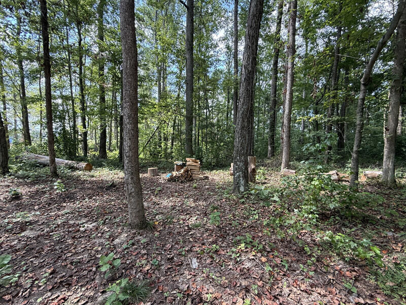 Property Photo:  Lot 172 Stillwater  KY 42642 