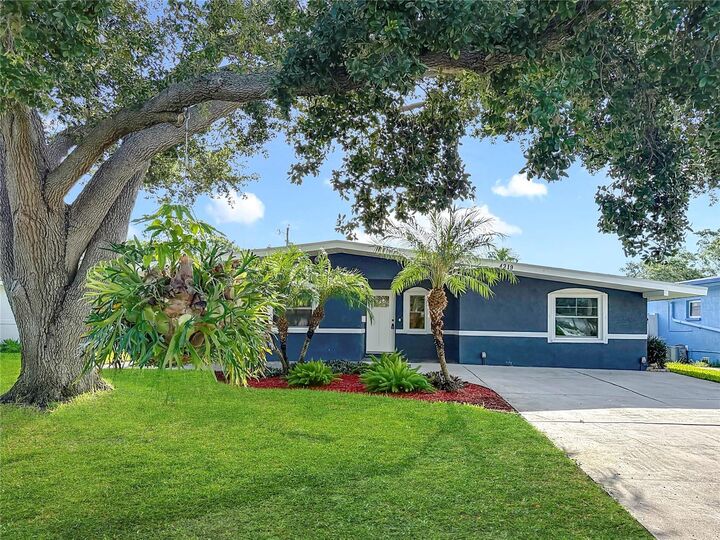Property Photo: 4219 Helena Street NE FL 33703