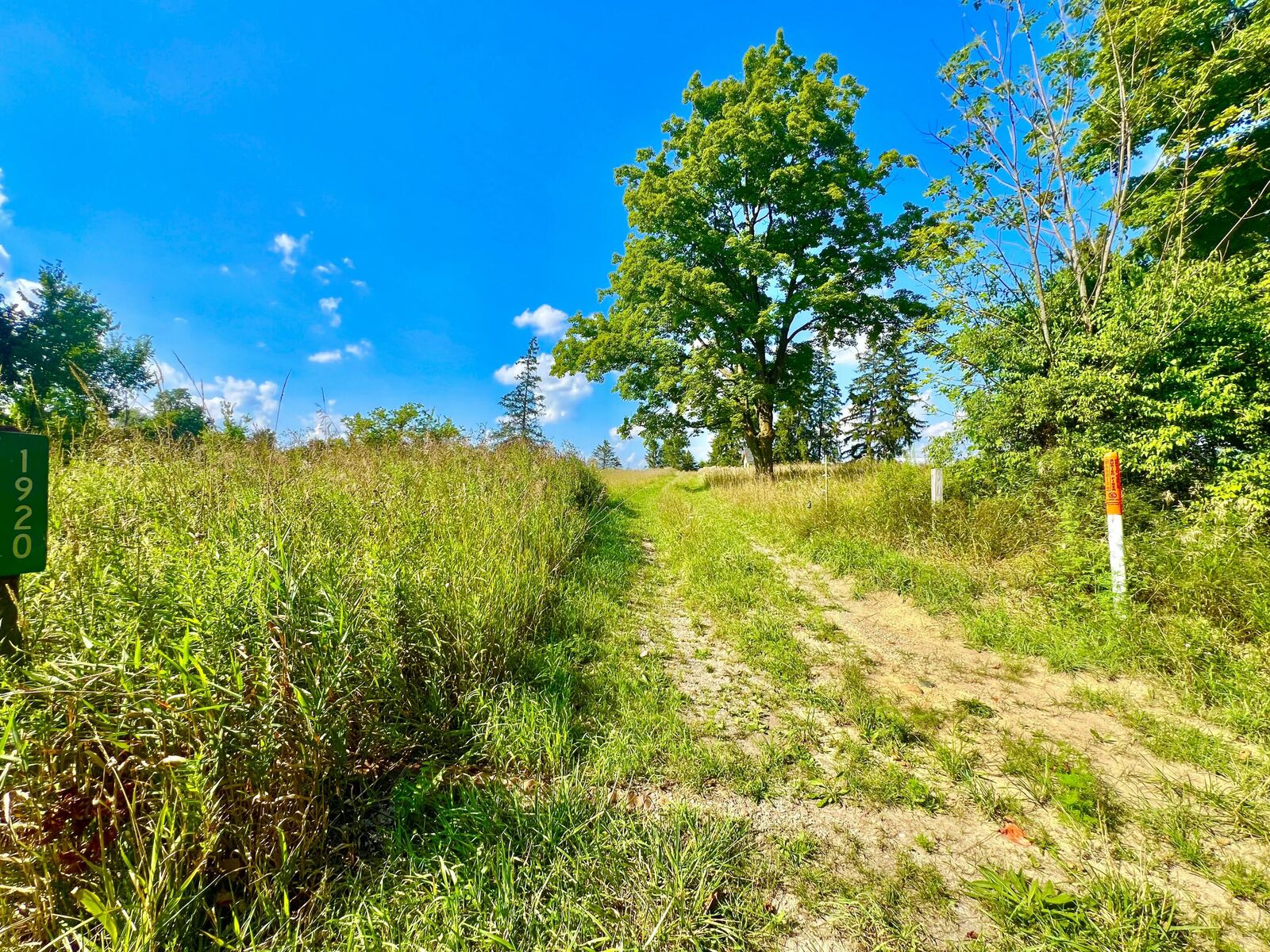 Property Photo:  Dimmers Road  MI 49274 