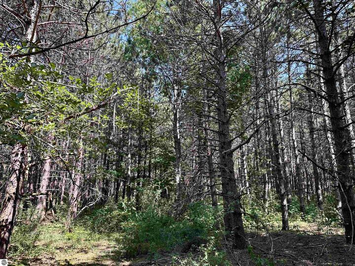 Property Photo:  000 Baver Road  MI 49635 
