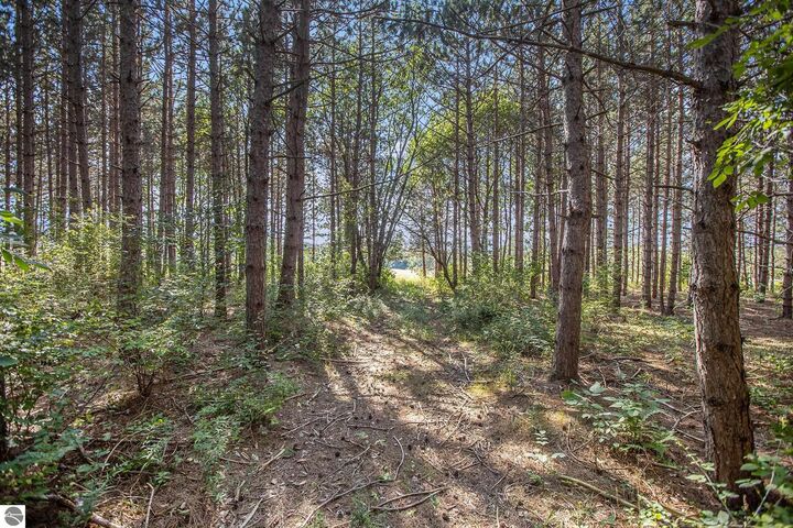 Property Photo: 000 Baver Road MI 49635