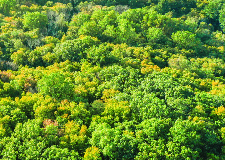 Property Photo:  June Road Lot 1  CT 06904
