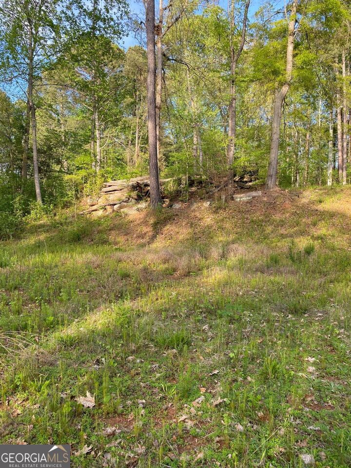 Property Photo: 3145 &Amp 3125 Spain Road GA 30039