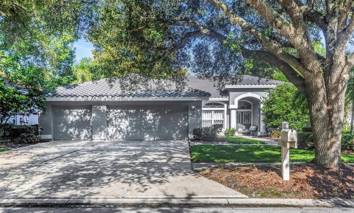 17818 Hickory Moss Place  Tampa FL 33647 photo
