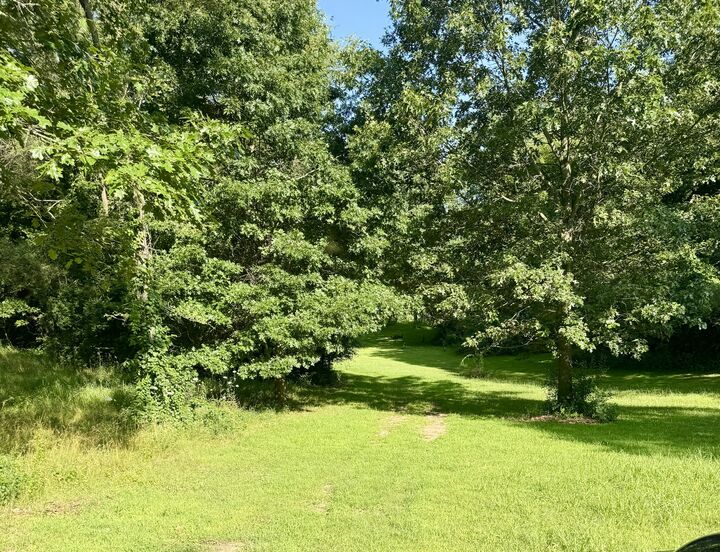 Property Photo: 0 S Sutton Road MI 49203