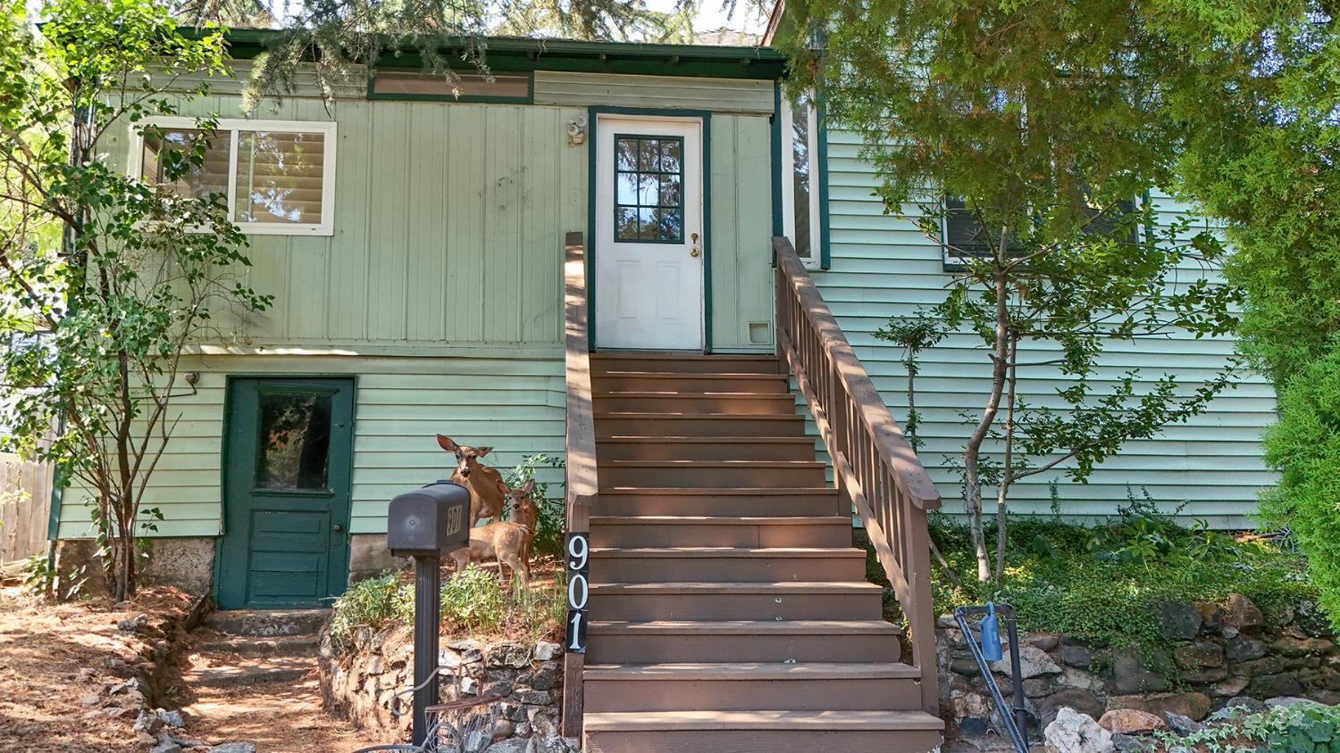 Property Photo:  901 Union Street  CA 95667 