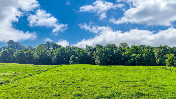 Property Photo: Lot #14 Evanwood Drive KY 40359