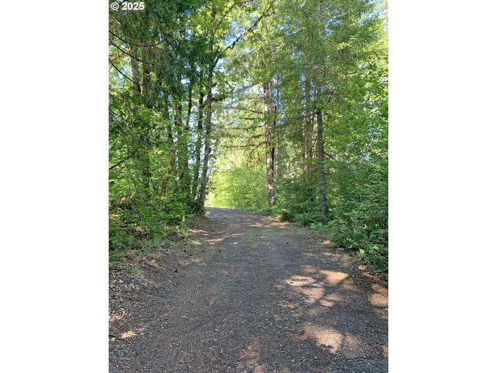 Property Photo: McKenzie River Dr 1800 OR 97413