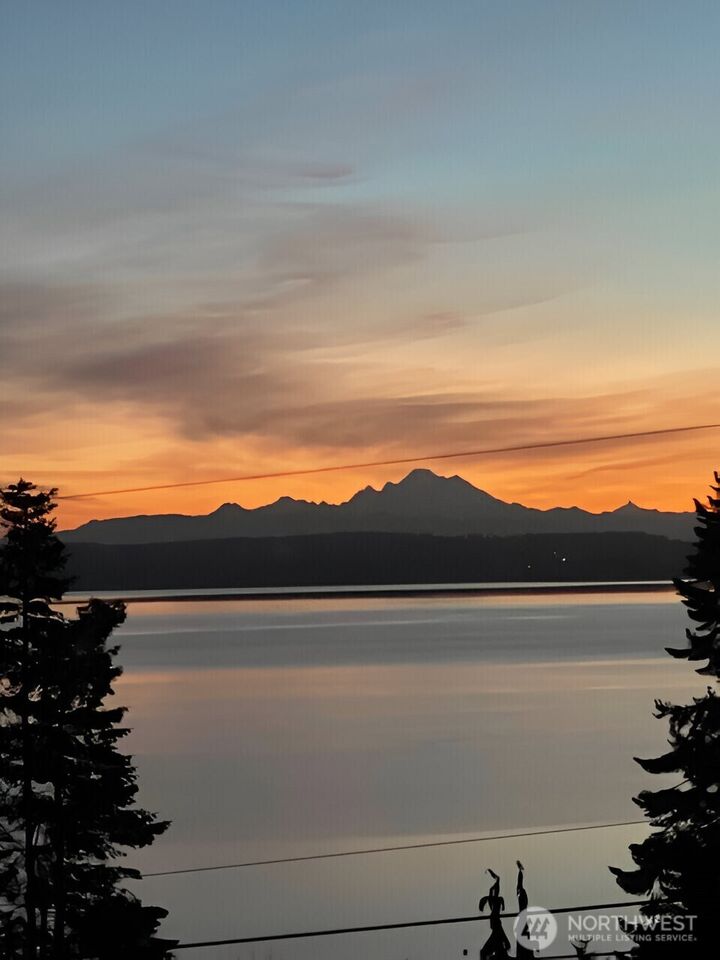 Property Photo:  305  Alta Vista Avenue  WA 98239 