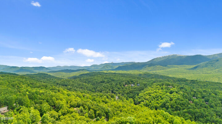 Property Photo: 810 Upper Windsor Way TN 37738