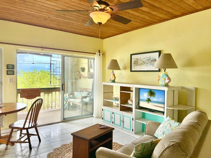Property Photo: A 6 Mt. Welcome Ea VI 00820