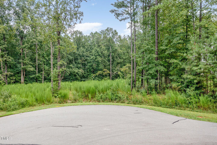 Property Photo:  60 Willow Creek Court  NC 27312 
