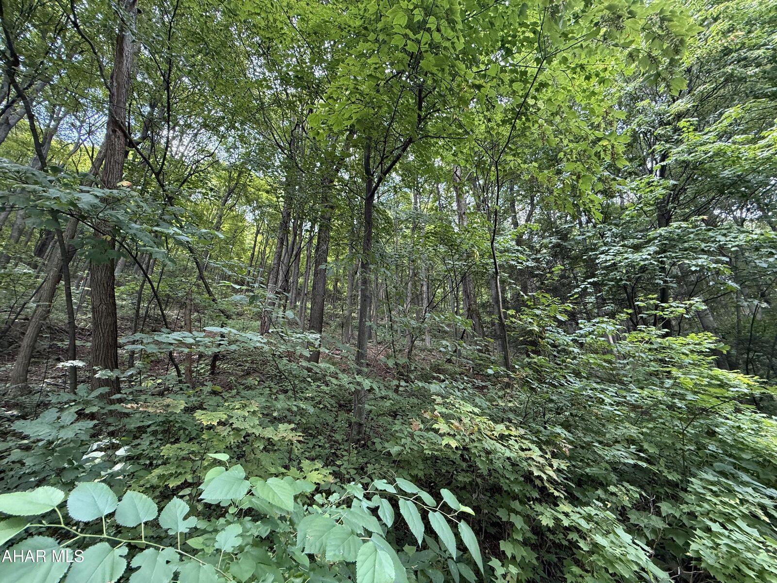 Property Photo: Lot 20 Kittanning (Overland Pass) Run PA 16625