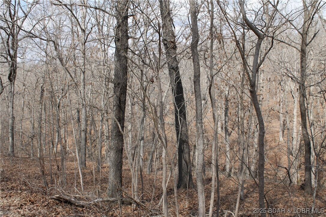 Property Photo:  Tim Road 1903  MO 65326 