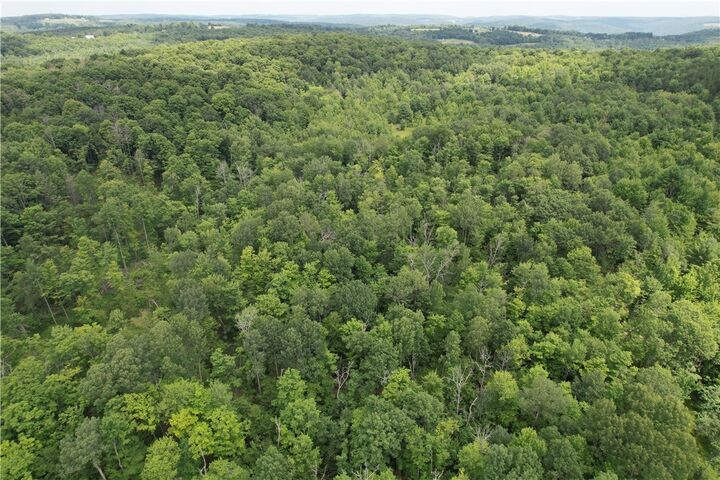 Property Photo: 0 Held #11 Greenbush Road NY 14838