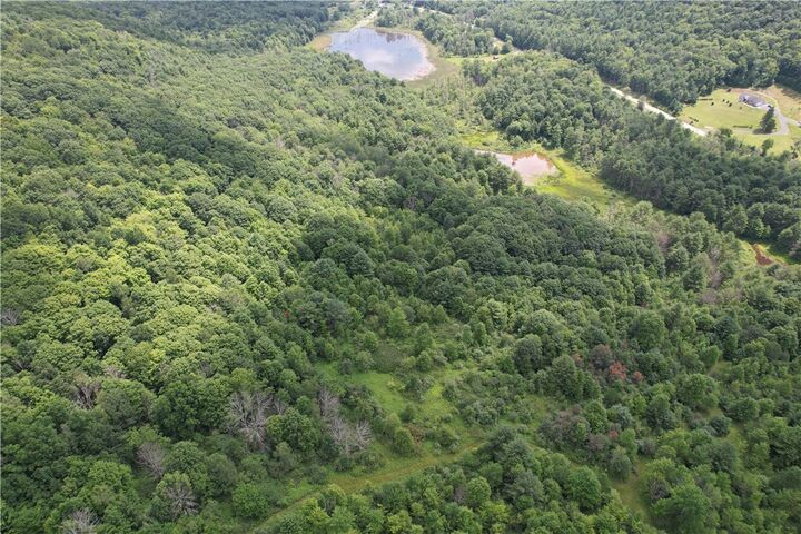 Property Photo: 0 - Held #12 Greenbush Road NY 14838