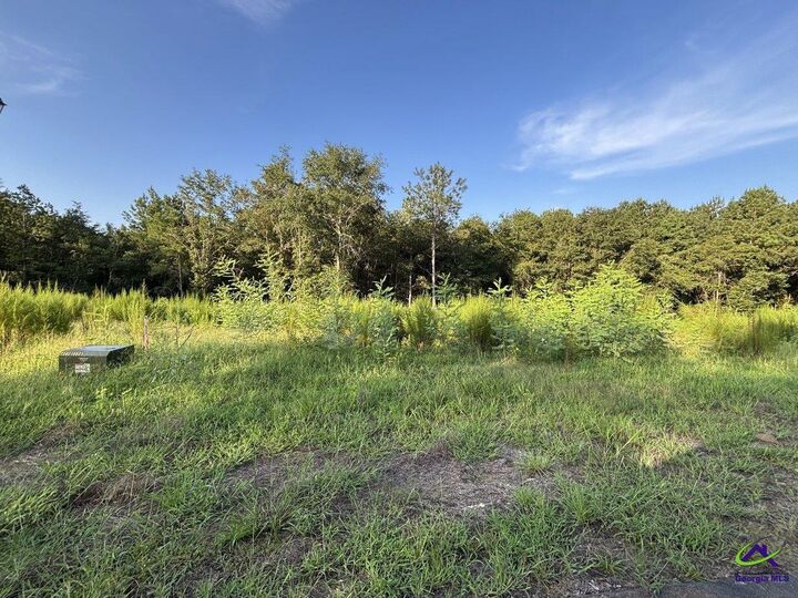 Property Photo: Lot 6 Trojan Way GA 31008