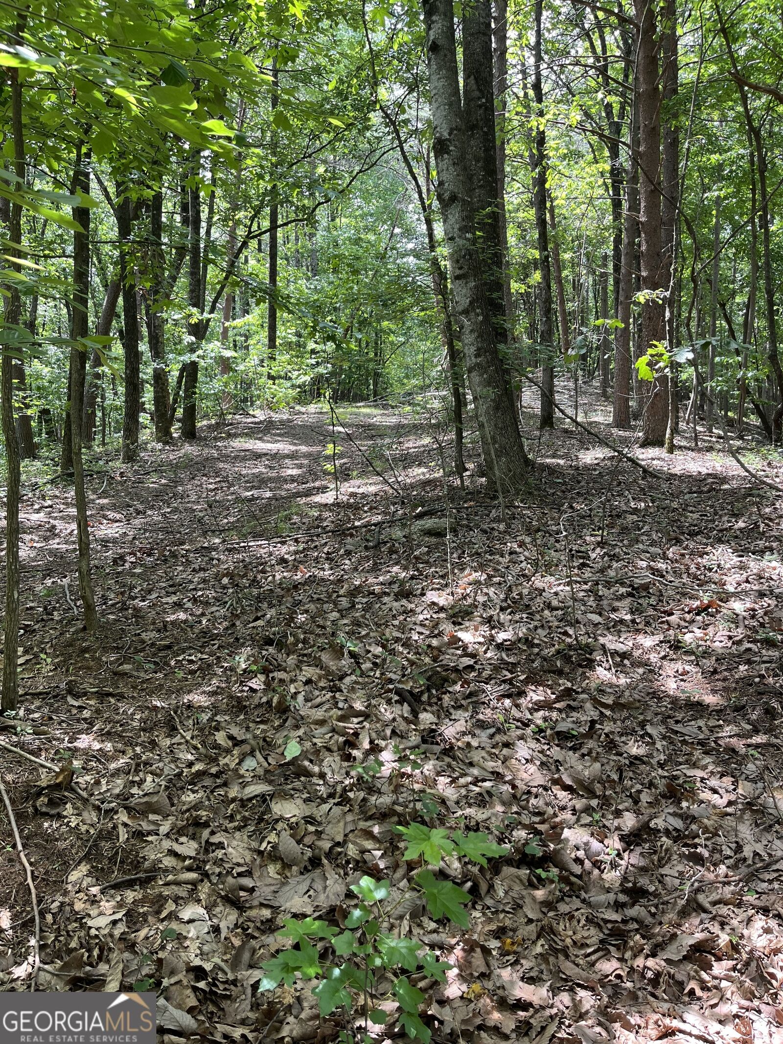 Property Photo: 0 Wauka Mountain Terrace GA 30528