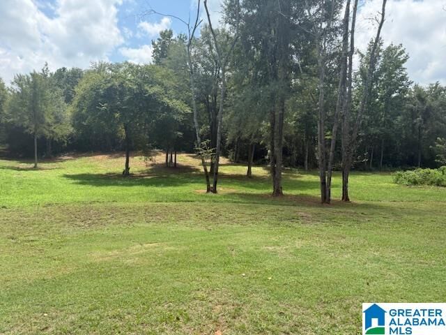 580 Idalia Road  Talladega AL 35160 photo
