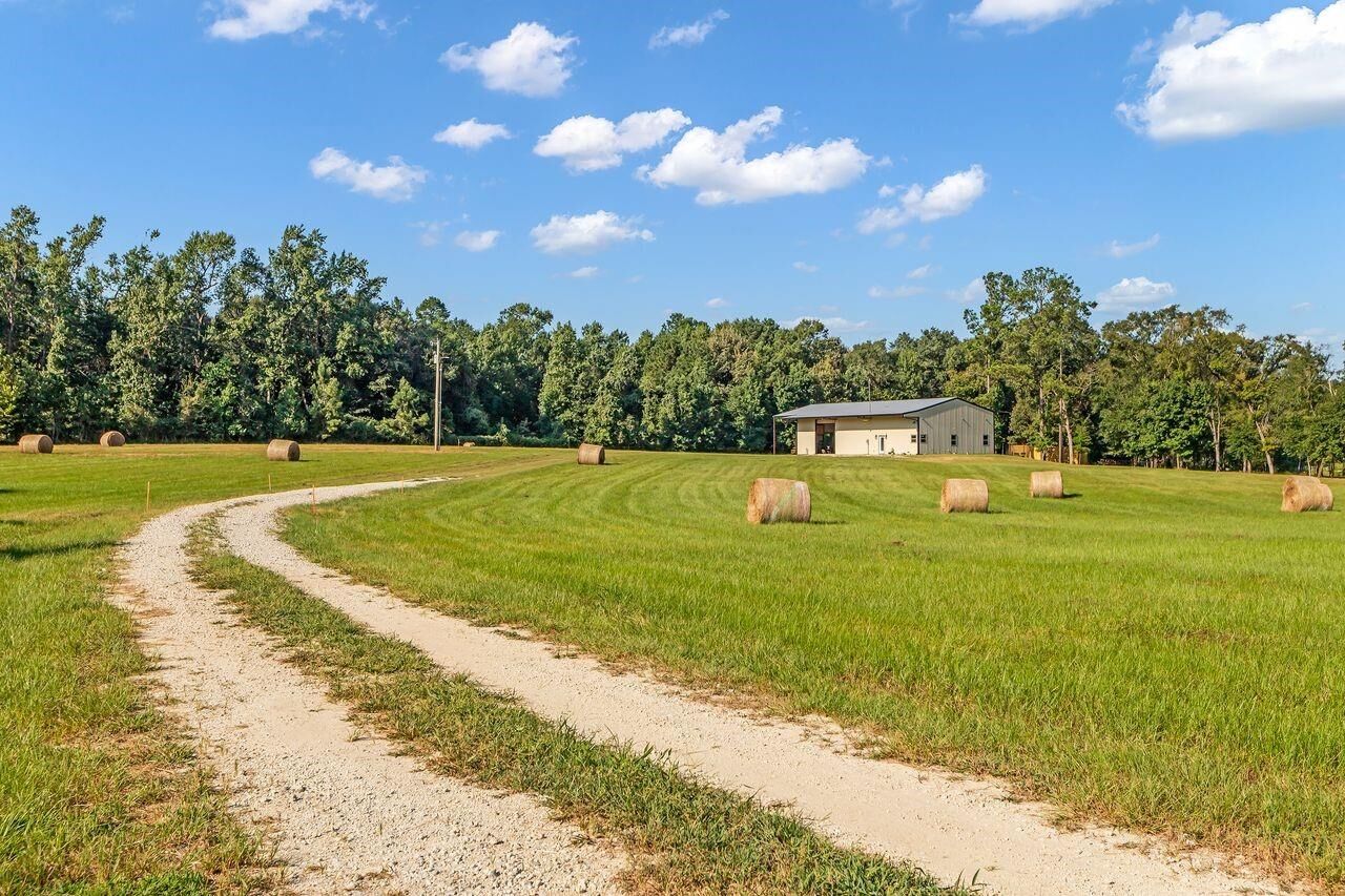 Property Photo:  251 Roy Webb Road  TX 77320 