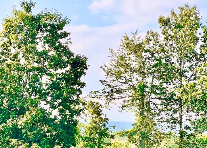 Property Photo:  160 Pirog Road  NY 12566 