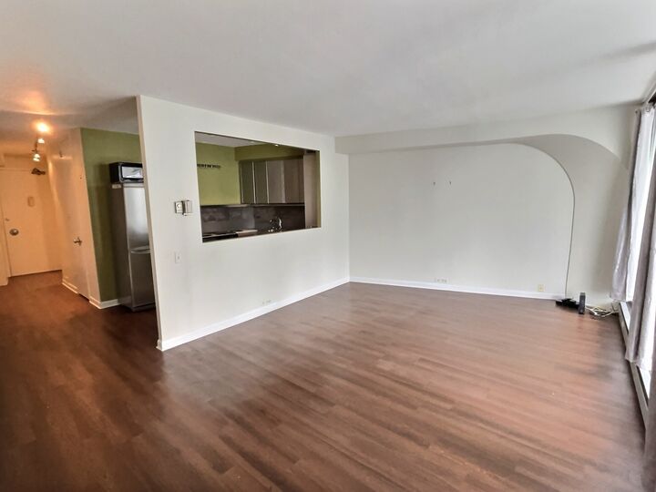 Property Photo: 300 N State Street 4325 IL 60654