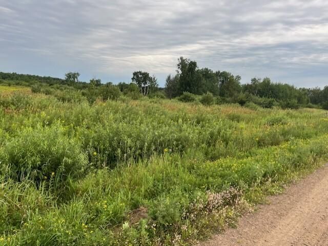Property Photo:  23xxx Olympic Street  MN 55007 