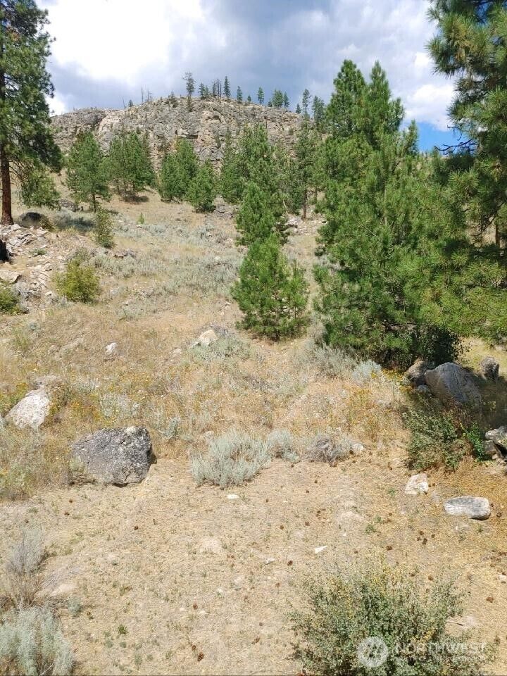 Property Photo: 83 E Cayuse Mountain Road WA 98855