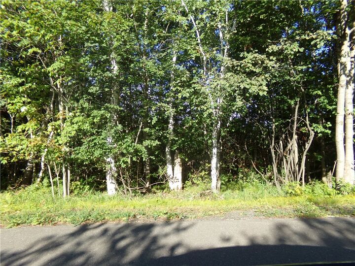 7581 S Marsik Lot 2 Road  Lake Nebagamon WI 54849 photo