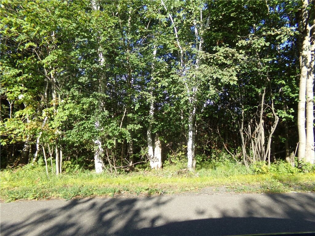 Property Photo: 7581 S Marsik Lot 2 Road WI 54849