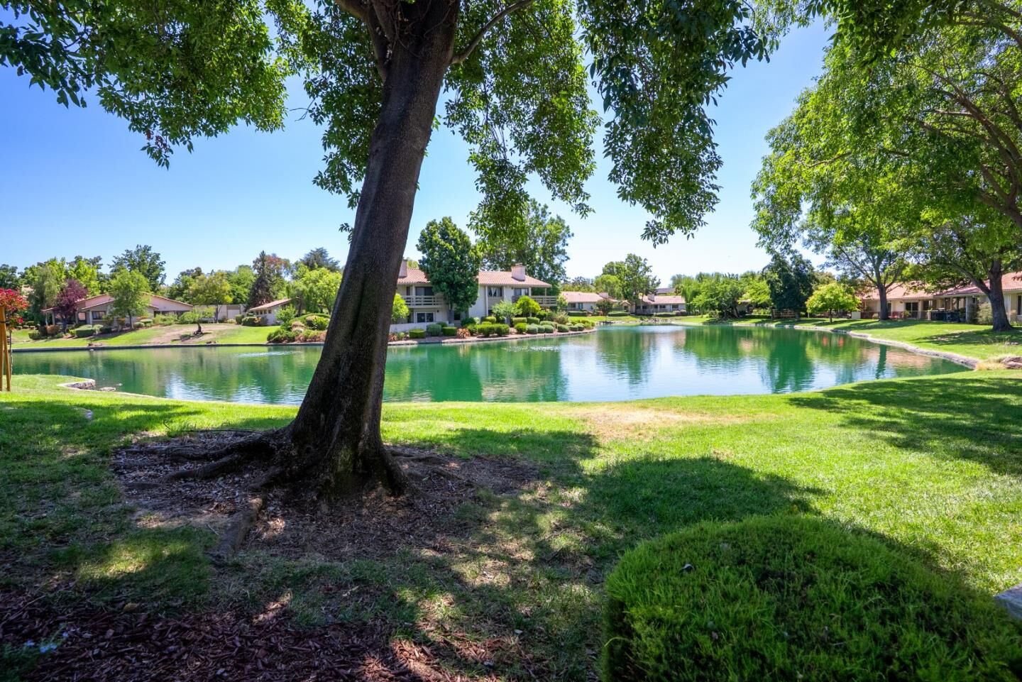 Property Photo: 8386 Riesling Way CA 95135