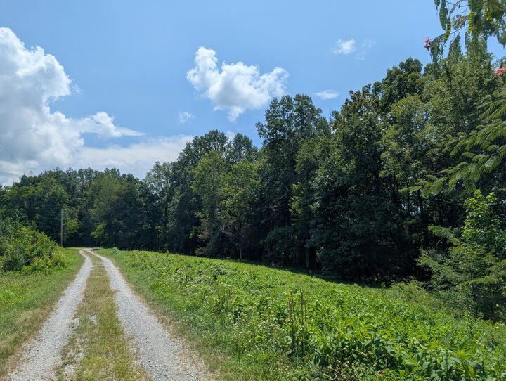 Property Photo:  0 Lake Bluff Rd  TN 38544 