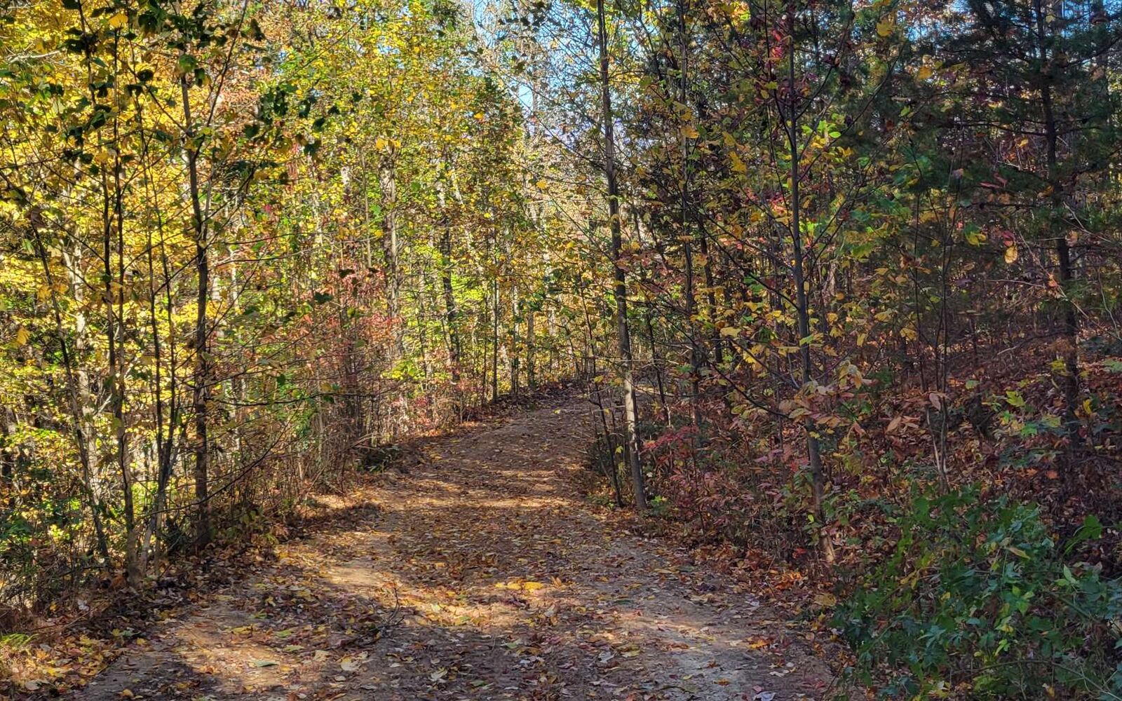 Property Photo:  14 Ac Old Burnt Mountain  GA 30540 