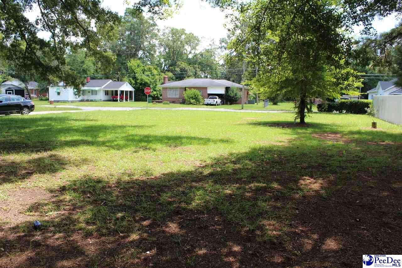 Property Photo: Lot 23 King St. SC 29512-9998