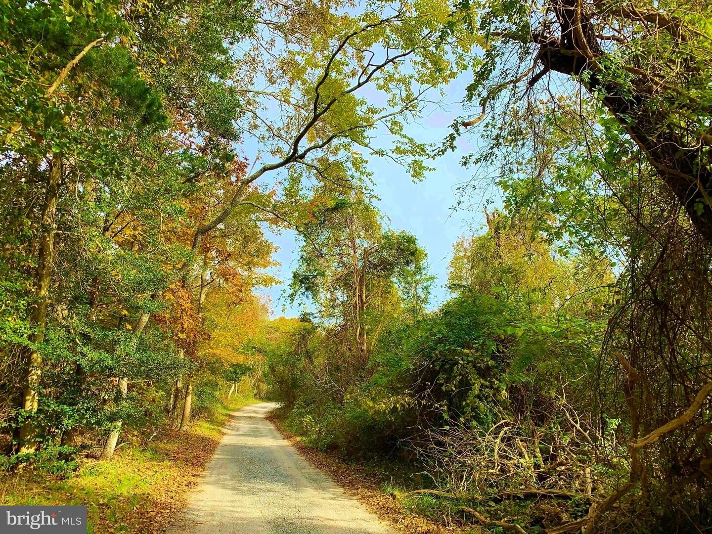 Property Photo: 0 Scotts Landing Road NJ 08205