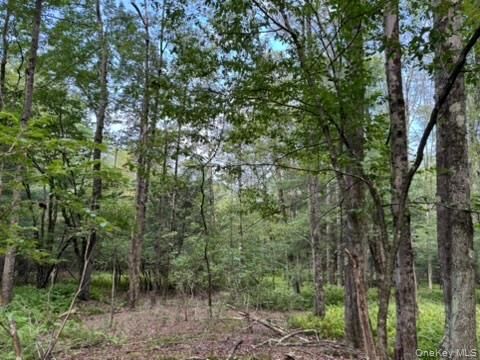 113 Moore  Woodbourne NY  photo