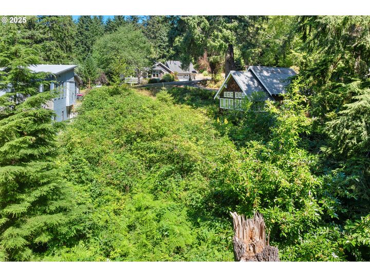 Property Photo: 00 E 6th St OR 97110