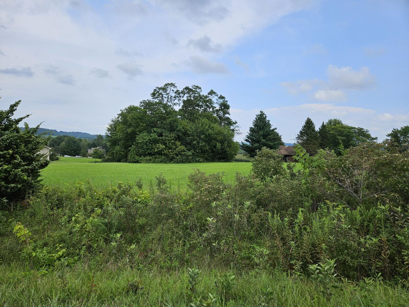 Property Photo: 3 Butternut Lane IL 61036