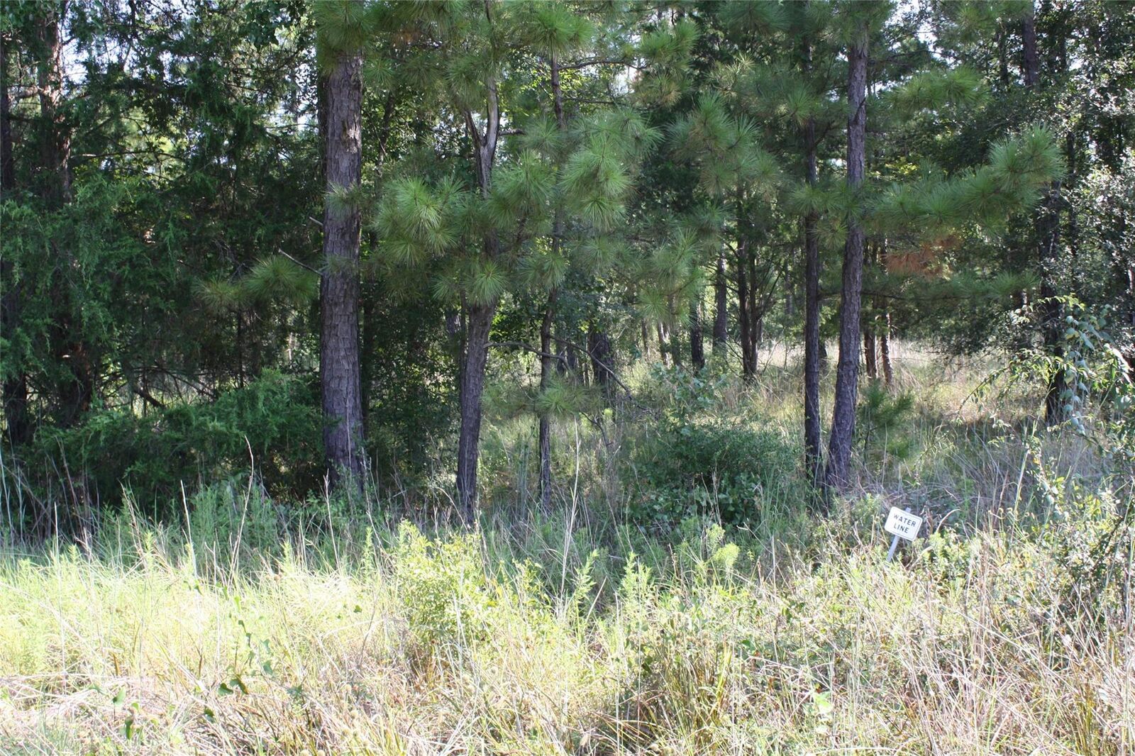 Property Photo:  Lot 3 Morris Lane  TX 77320 