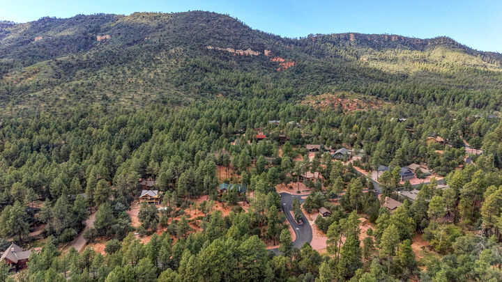 Property Photo: Lot 19 Strawberry Hollow AZ 85544
