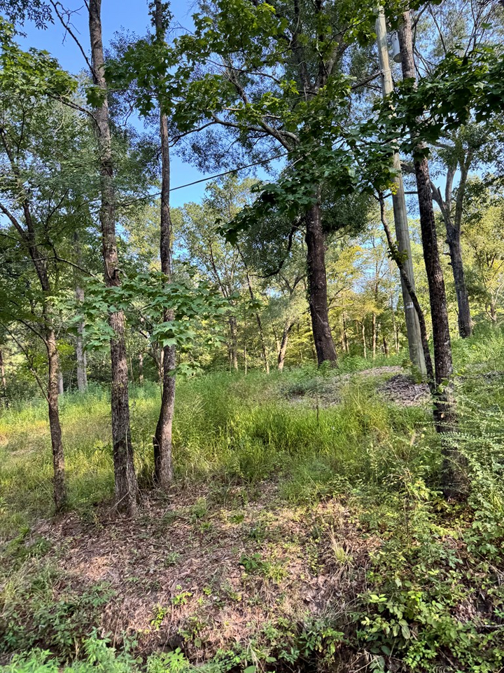 Property Photo: 560 McKindree Rd TX 75901