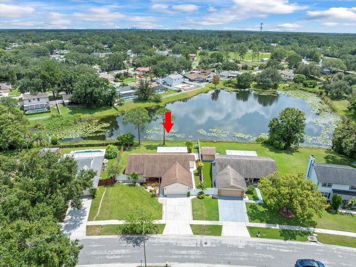 Property Photo: 15909 Marshfield Drive Drive FL 33624