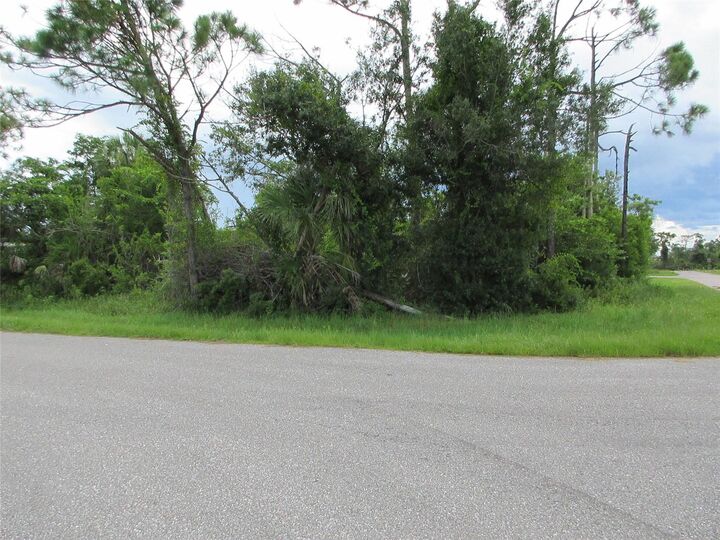 Property Photo: 12180 Shellnut Avenue FL 33981