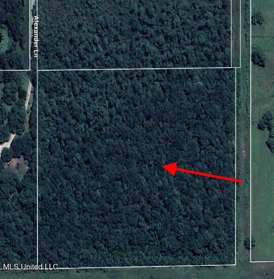 Property Photo: Freddie Frank Road MS 39560