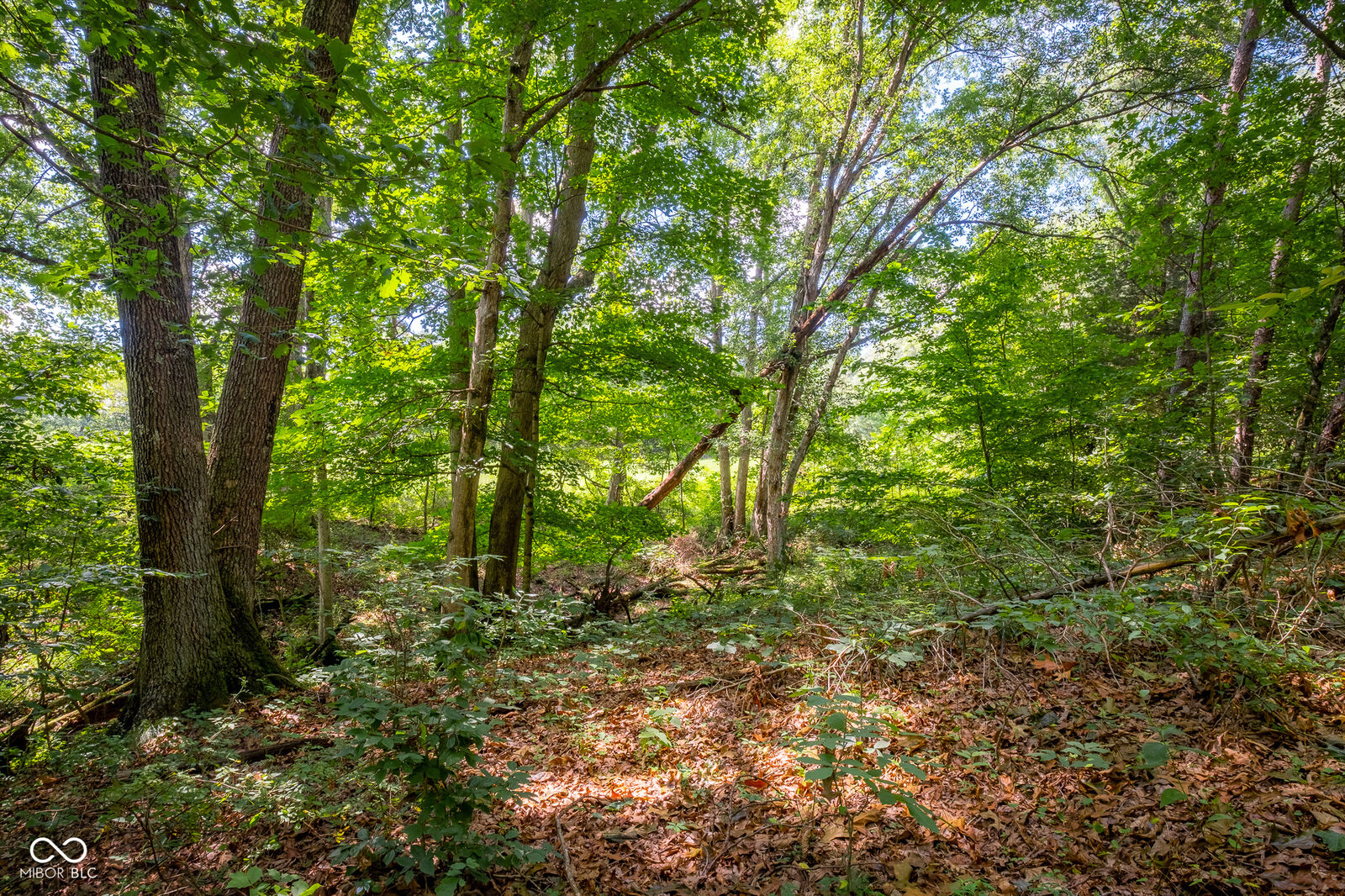 Property Photo: 14000 W Mt Healthy Road IN 47201